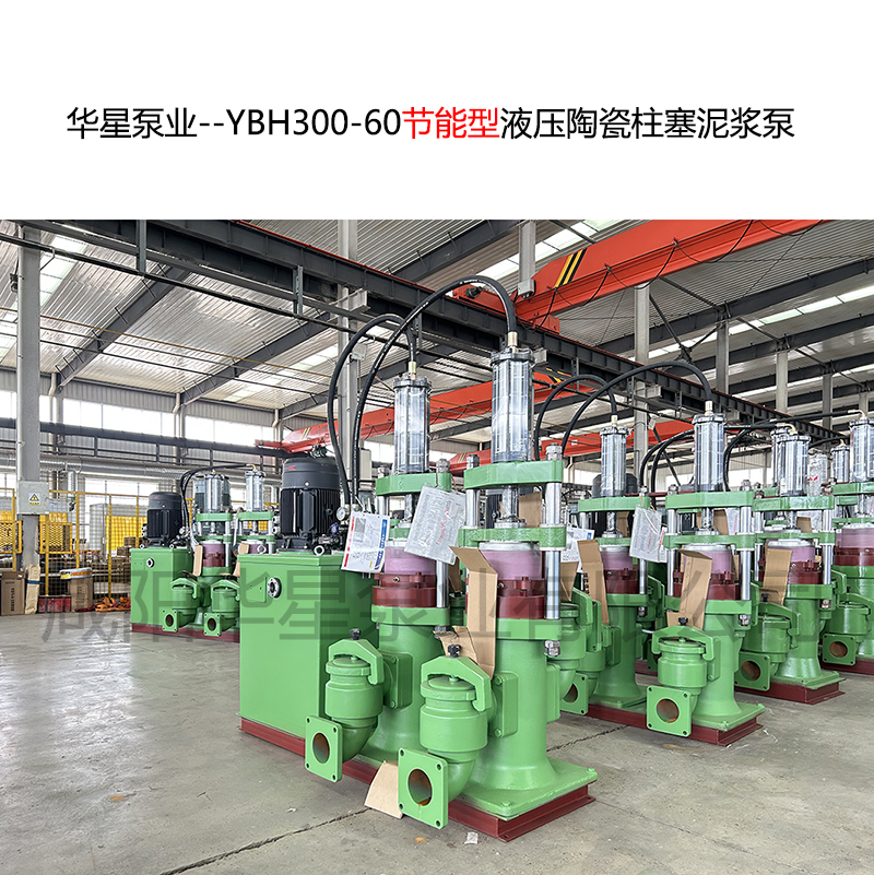 洗沙廠使用華星YBH300-60泥漿柱塞泵現場視頻